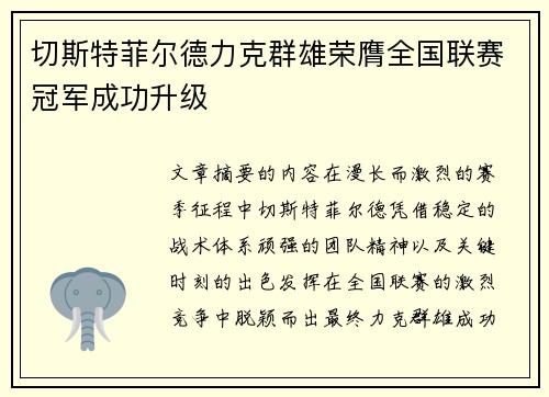 切斯特菲尔德力克群雄荣膺全国联赛冠军成功升级 切斯特菲尔德力克群雄荣膺全国联赛冠军成功升级